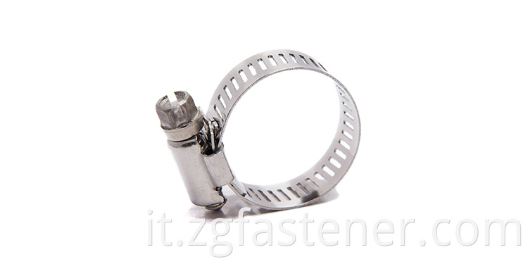 hose clamps